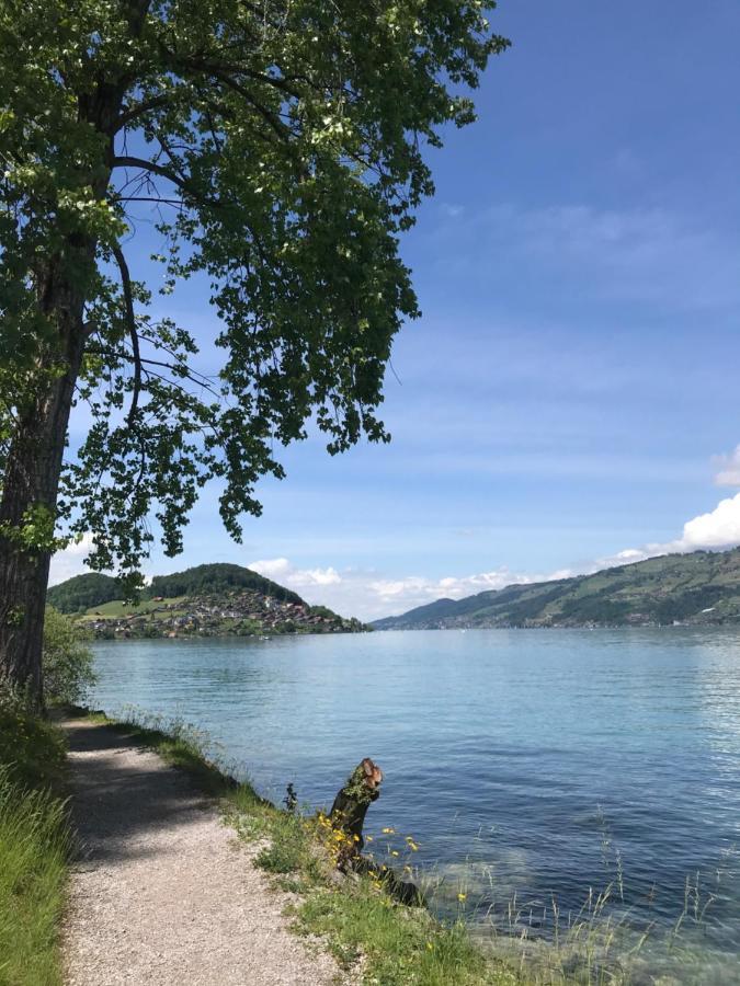 Moderne Unterkunft Mit Panoramablick Auf Thunersee Krattigen Eksteriør bilde